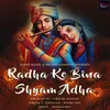 About Radha Ke Bina Shyam Adha Song